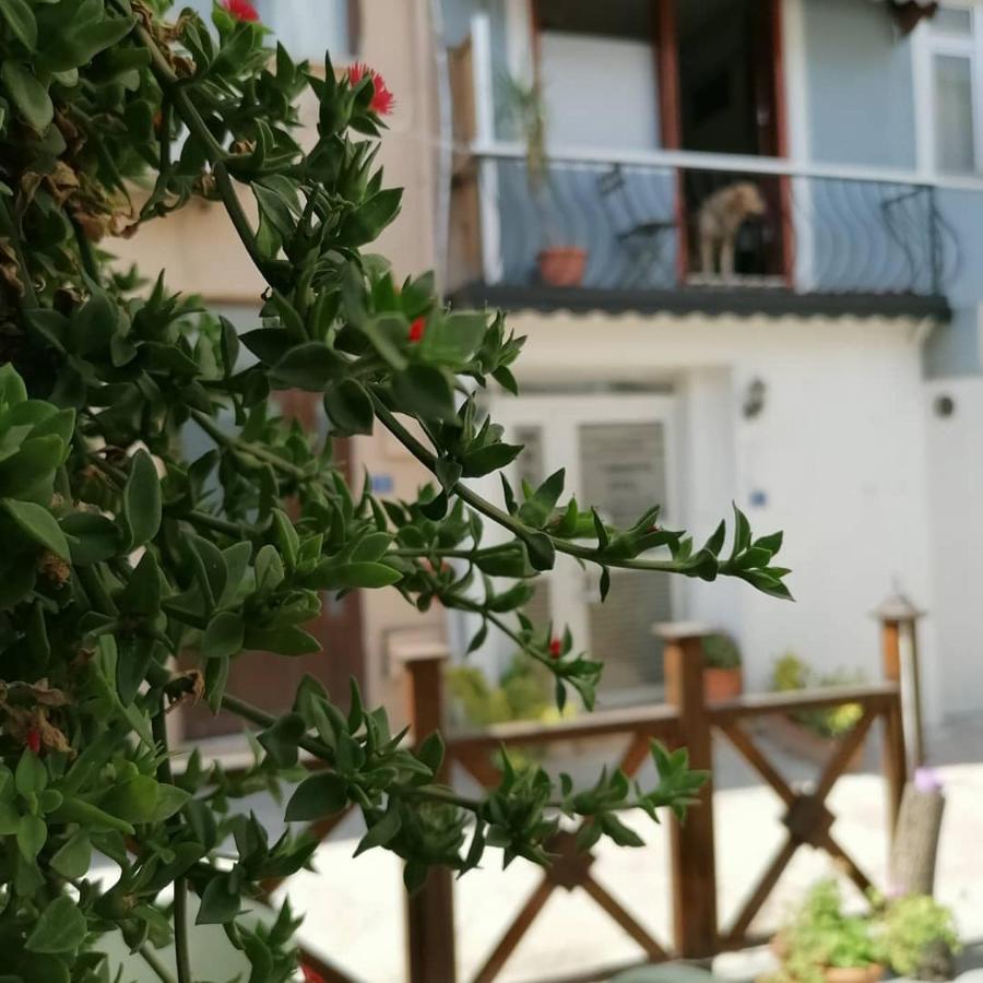 Hotel Mudanya Bagian luar foto